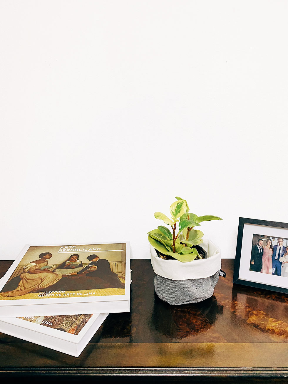 Miniatura: Peperomia amarilla