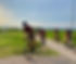 IMG_3518.jpeg