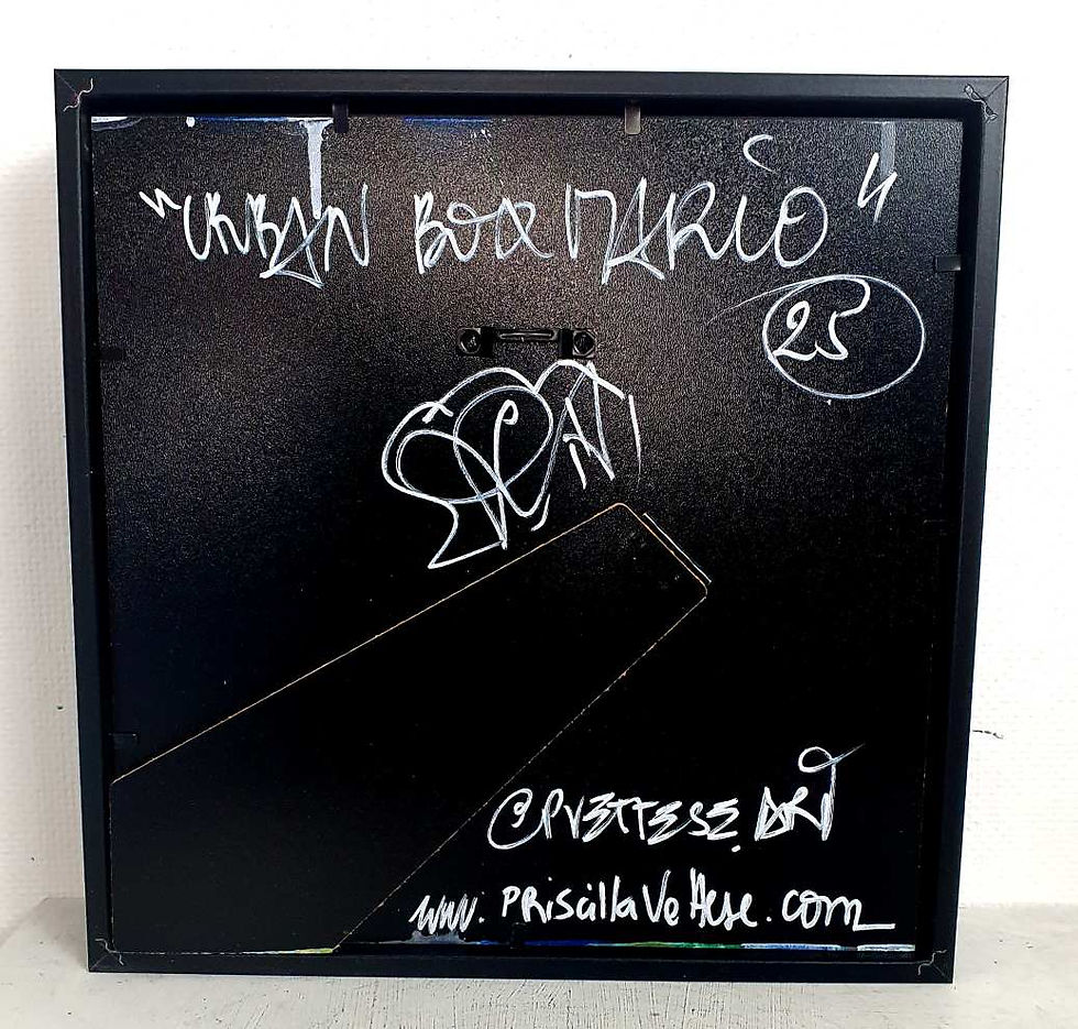 Miniature : Box 3d Sculpture Murale Mario Pez
