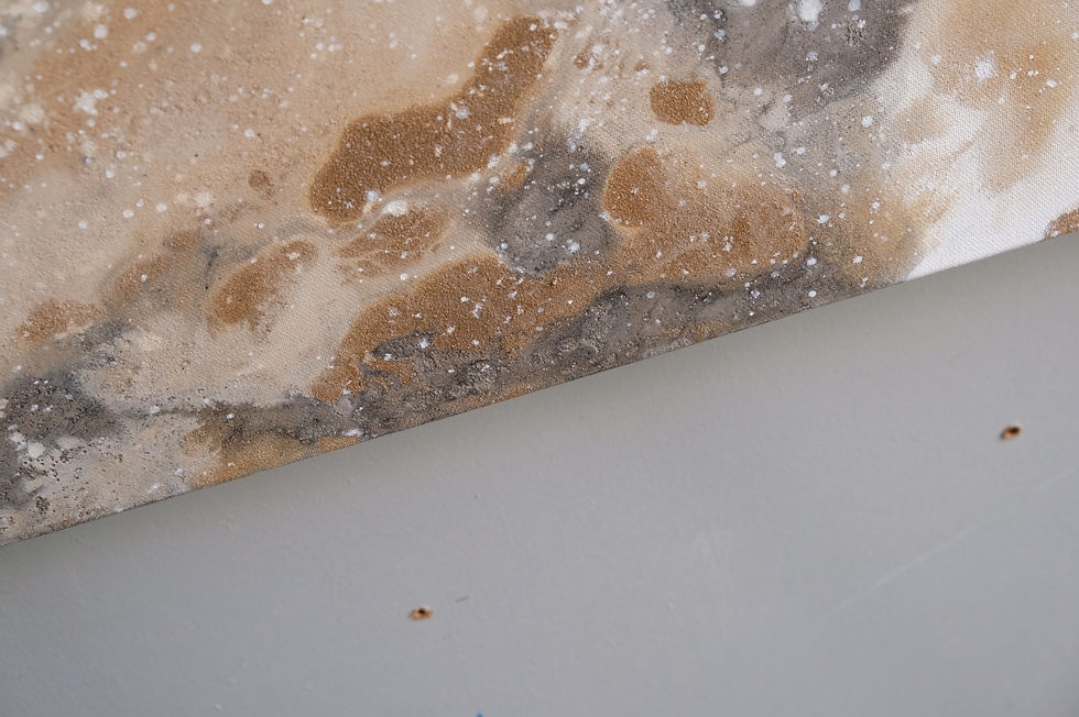 Thumbnail: NORTH FACE