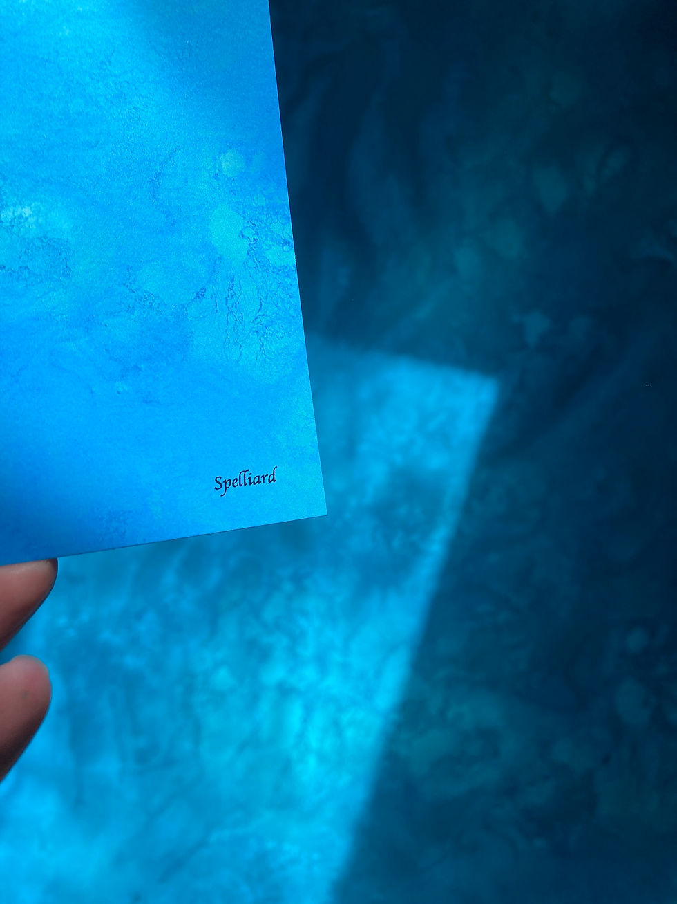 Thumbnail: Impression Pacifique