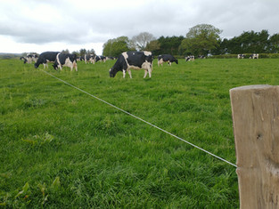 IMG-20210523-WA0000.jpeg