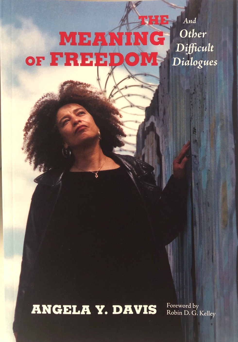 The Meaning of Freedom and Other Difficult Dialogues