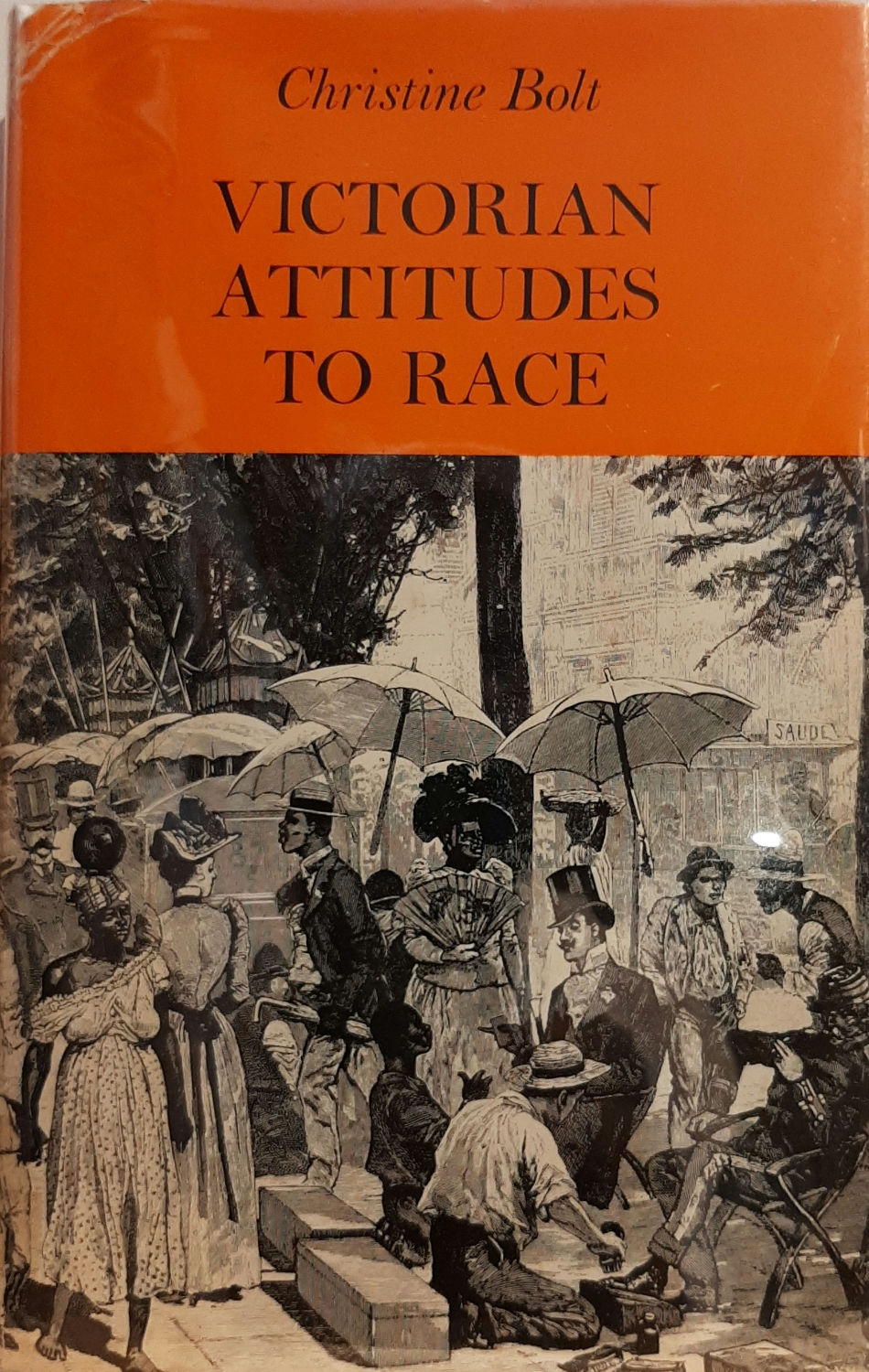VICTORIAN ATTITUDES TO RACE  by Christine Bolt