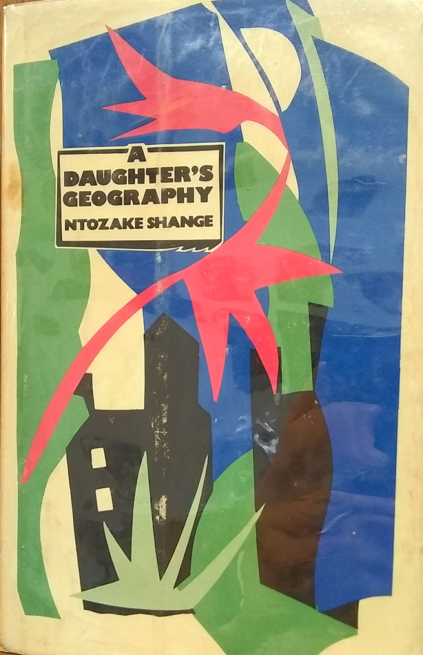 A Daughter's Geography