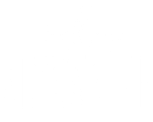 Shea Alexander Salon