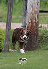 IMG_1475 (533x800) copy.jpg