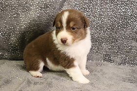 IMG_7208 (1024x683).jpg