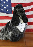 IMG_7918.JPG