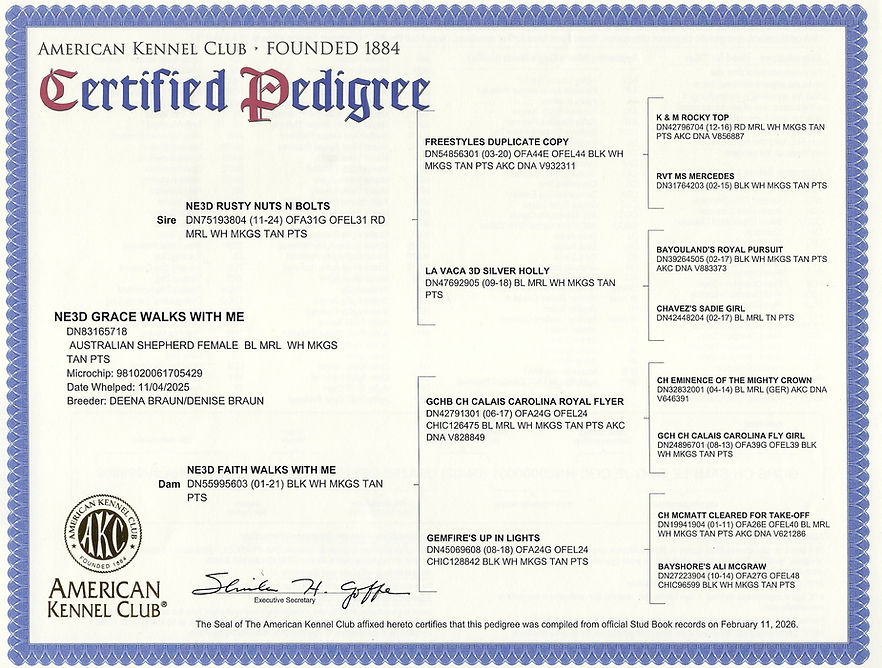 Scan_20260821.jpg