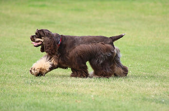 IMG_6258 Mud 9mth - Copy (3) (1024x682).jpg