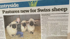 Dumfries and Galloway Standard