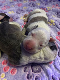 d5666e6c-a693-404d-b803-7ec224d78a65