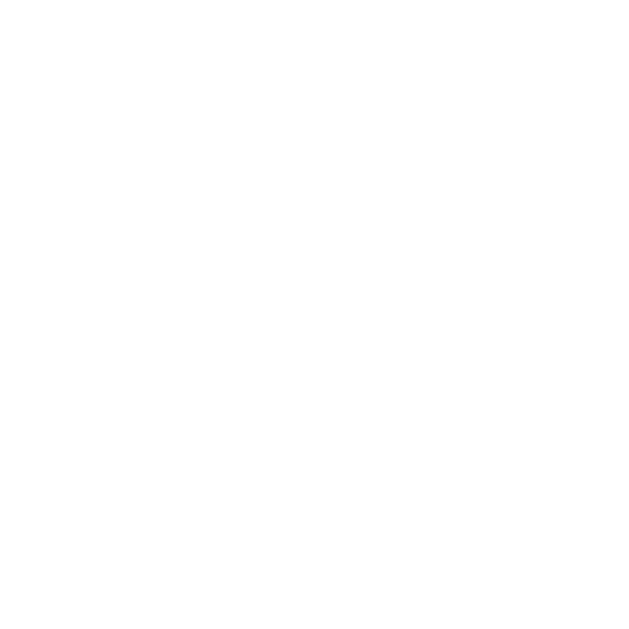 REI Logo White.gif