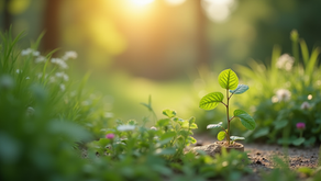 Why Holistic Wellness is Essential for a Balanced Life: Exploring Holistic Health Benefits