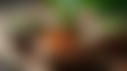 Exploring the Core Principles of Traditional Chinese Medicine: Fundamentals of Chinese Healing