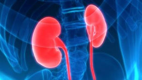 Chronic Nephritis