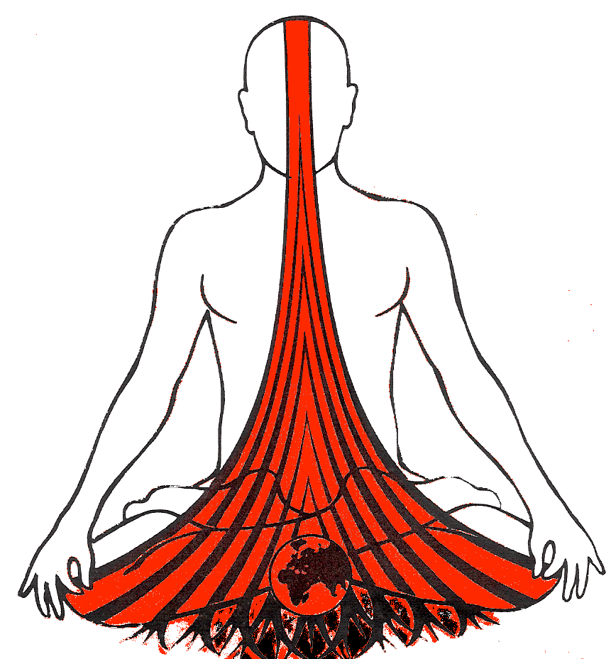 image chakra racine.gif
