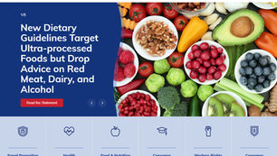 NCL Website Redesign: Coordinating Digital Transformation Under Budget Constraints