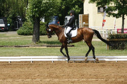 M. Paraszczuk i Unisono