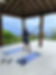 IMG_3409.jpeg