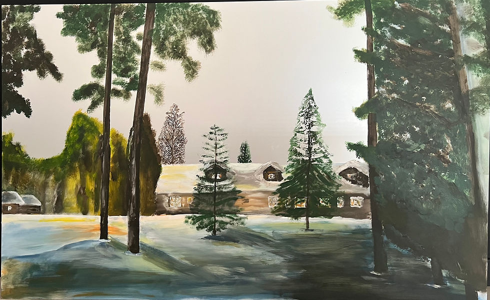 Lumières en Laponie