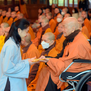 Red Pine Ordination Family