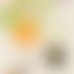 Day of mindfulness 15 November 2025