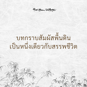 เป็นหนึ่งเดียวกับสรรพชีวิต 