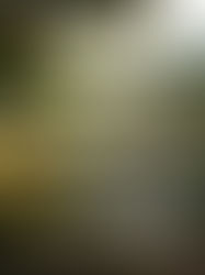 งานภาวนาหนุ่มสาวนานาชาติ 2569 “ONENESS WITH THE EARTH"