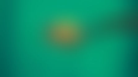 What is the Point...