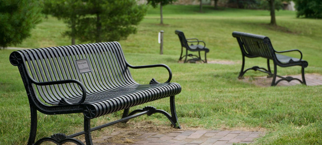 K.C. Bench 56_A