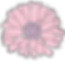 22002653 (1)_edited.png