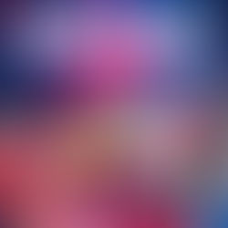 Calendriers officiels 2025-2026