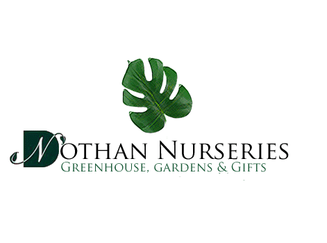 DN-logo5.gif