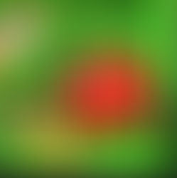 Great News Sandi Strawberry is on her way in the latest story "Where does all the Rubbish go"! in the Vegetable Garden Series.