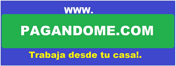 Camiseta Pagandome.png