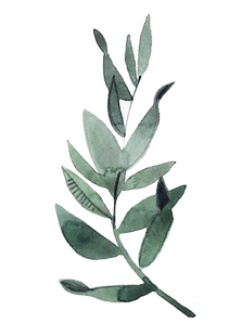 Watercolor-Leaves-PNG-Photos.png
