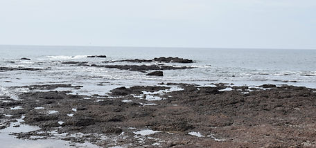 calm ocean scene supporting focus and clarity in ADHD coaching