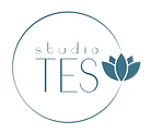 studio_tes-teal_on_transparent-white-411
