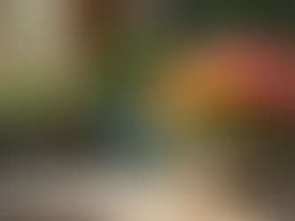 Transform Your Outdoor Oasis This Summer with Our Fun Garden Decor and Accessories