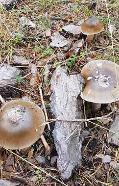 20210918_120834.jpg