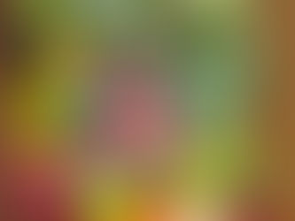 Oct 13 csa pick up ready