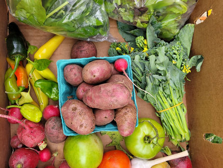 Oct 13 csa pick up ready