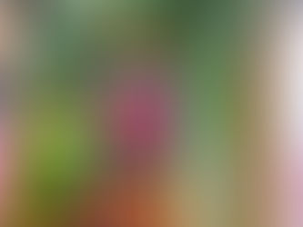 Sep 29 csa ready for pick up