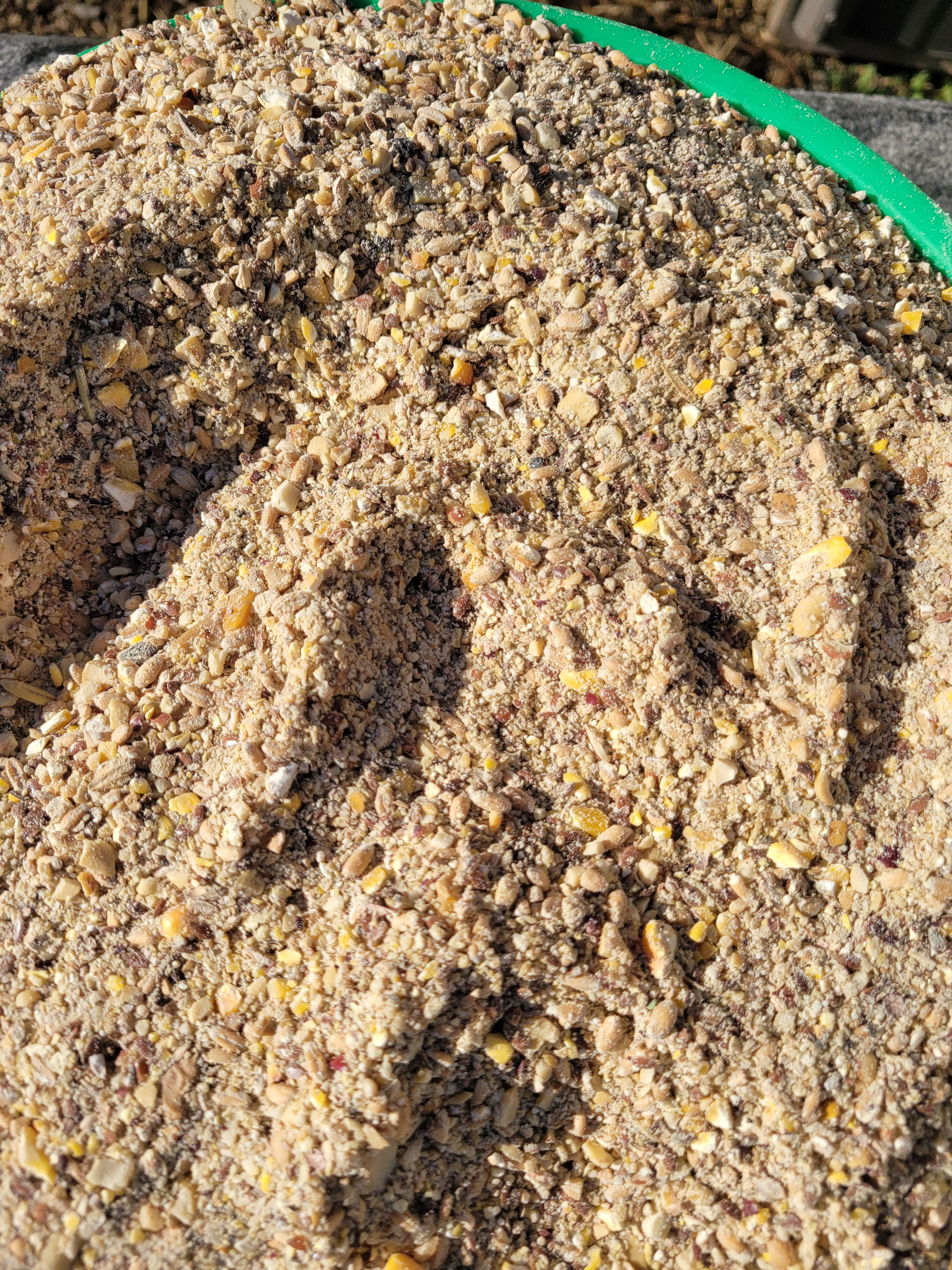 Wisconsin grains Poultry feed