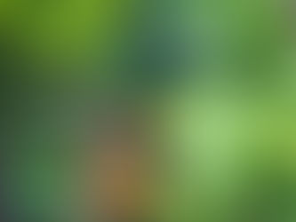 Csa members please read