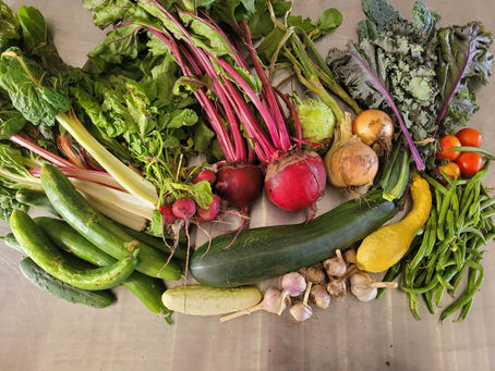 July 18 csa ready for pick up!