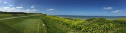 Panoramic View