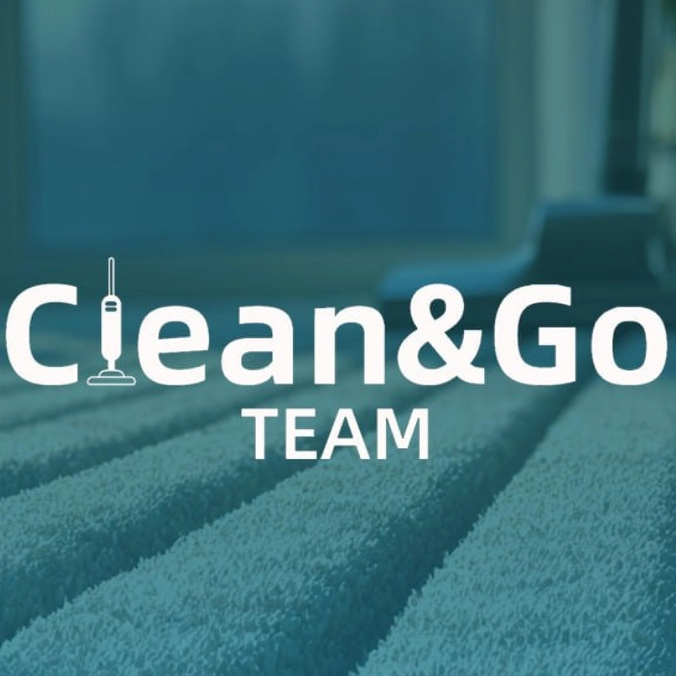 Carpet & Upholstery Cleaning Charlotte NC | Clean&Go Team
